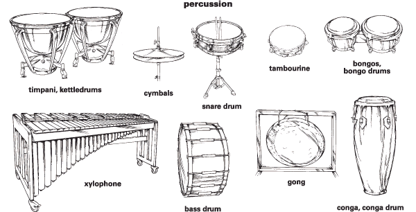 Percussion Family of Instruments: What instruments are in the